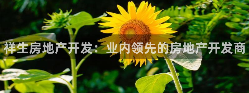 万向娱乐平台怎么下载