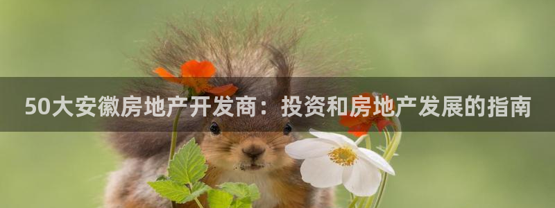 万向娱乐平台代理多少钱一年