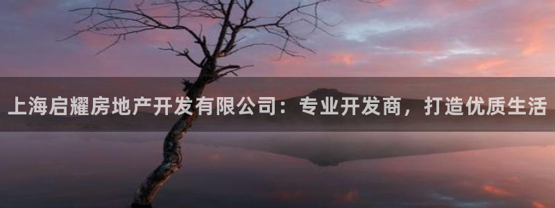 万向娱乐平台代理怎么样
