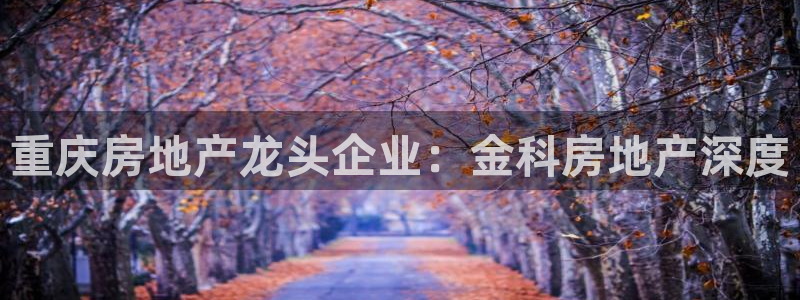 万向娱乐平台代理怎么做的