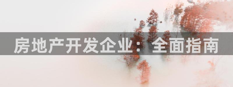 万向娱乐灯333OO