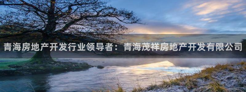 万向娱乐下载