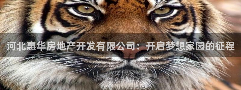 万向娱乐平台代理怎么做的