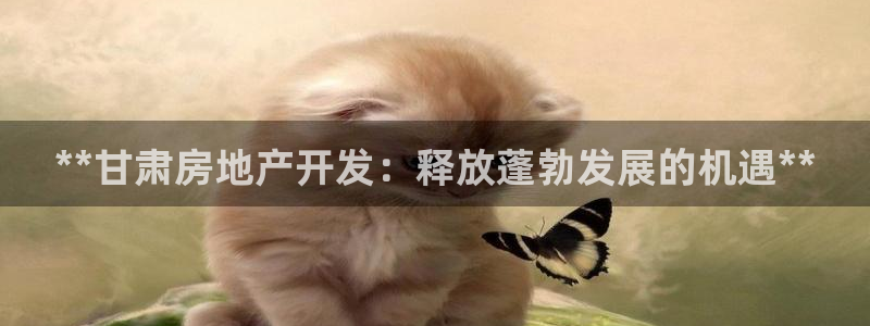 万向娱乐平台代理怎么样