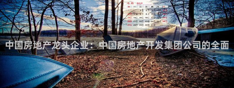 万向娱乐平台代理怎么做的