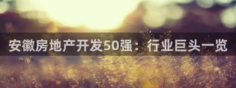 万向娱乐平台代理多少钱一年