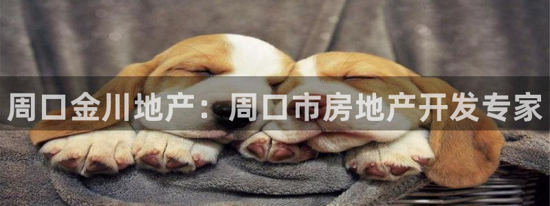 万向娱乐平台下载安装手机版