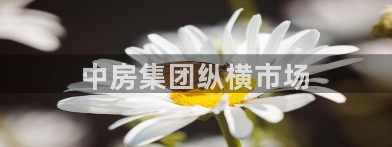 万向娱乐app下载官网