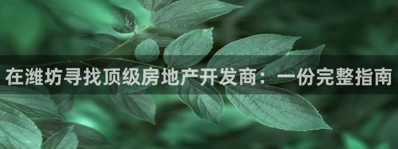 万向娱乐王者荣耀