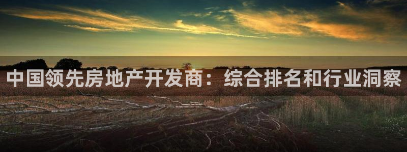 万向娱乐平台代理怎么做
