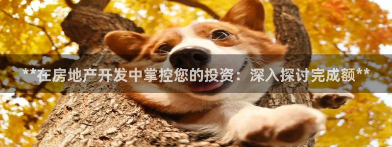 万向娱乐的联系方式有哪些