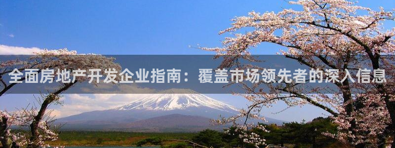 万向娱乐官网