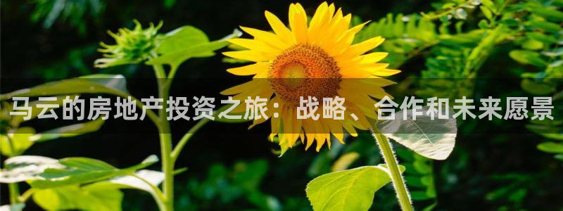 万向娱乐app下载苹果版