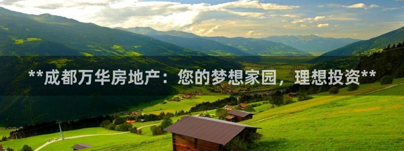 万向娱乐平台代理多少钱一个