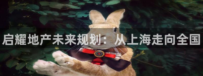万向娱乐公司 585.34I 娱乐