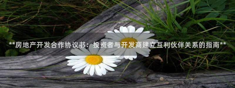 万能娱乐平台直招代理