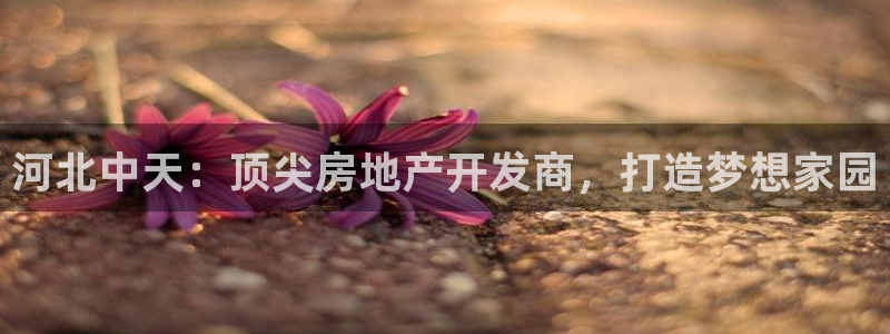 万向娱乐app下载安装