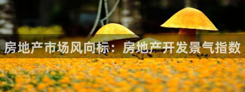 万向娱乐登陆官网