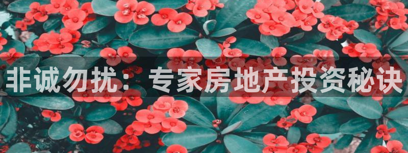 万能娱乐平台直招代理