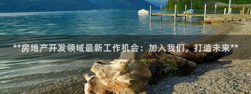 万向娱乐是野鸡台吗
