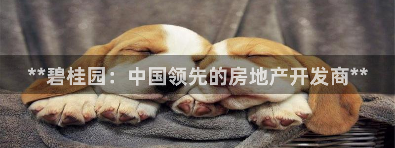 万向娱乐平台代理多少钱