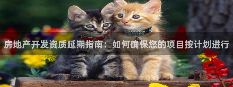 万向娱乐官网下载安装最新版
