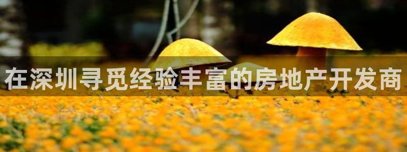 万向娱乐的494o3 主管