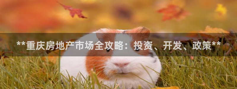 万向娱乐官网网址大全