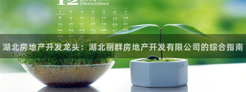 万向娱乐登陆官网入口