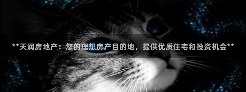 万向娱乐平台代理多少钱一个月