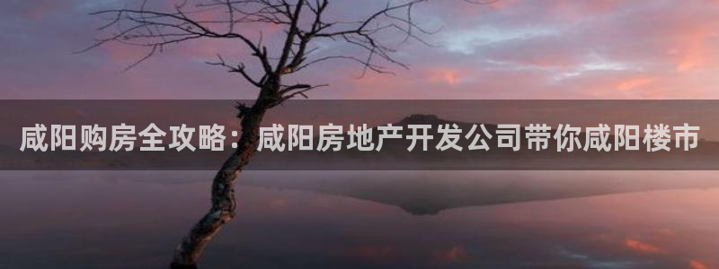 万向娱乐怎么样