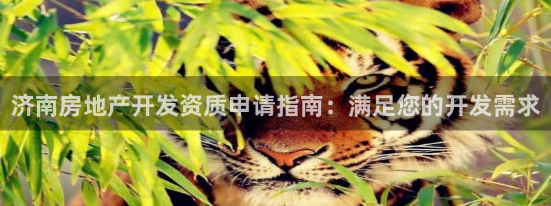 万向娱乐平台代理多少钱一个月