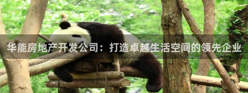 万向娱乐挂机软件