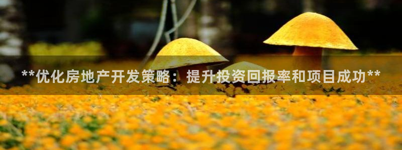万向娱乐官网下载安装最新版