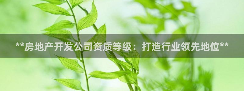万向娱乐官网下载安装最新版