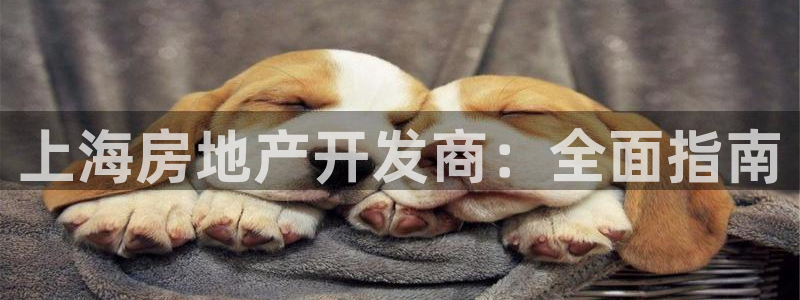 万向娱乐平台代理怎么样可靠吗