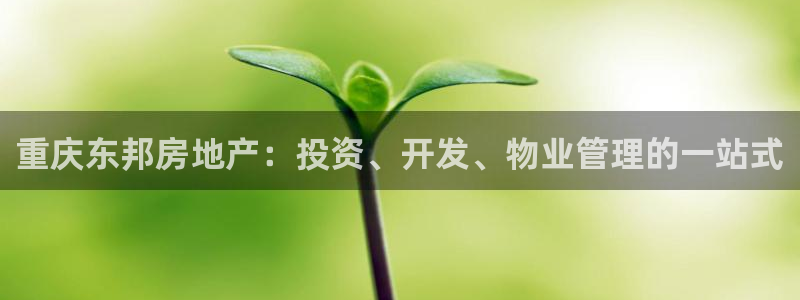 万向娱乐是哪个旗下