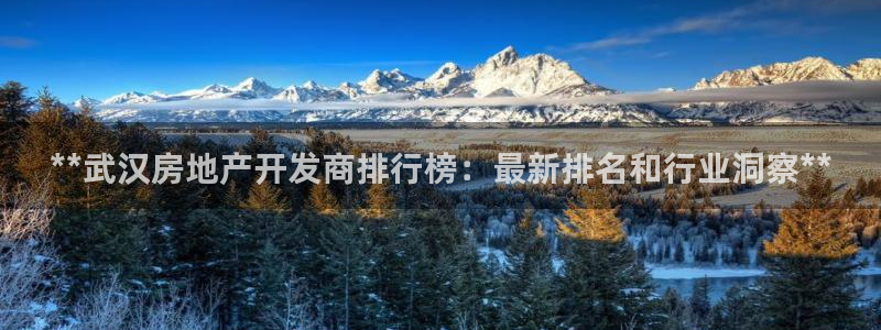 万向娱乐官网下载安装最新版