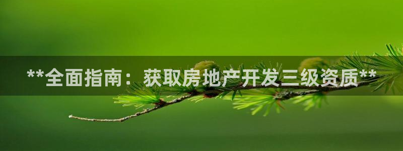 万向娱乐平台代理怎么做