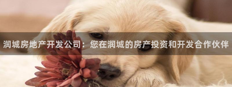 万向娱乐挂机软件