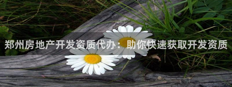 万象游戏代理