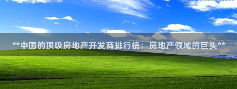 万向娱乐挂机