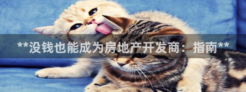 万向娱乐app下载安装