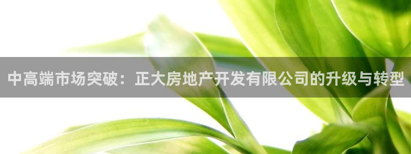 万向娱乐代理好看视频是真的吗