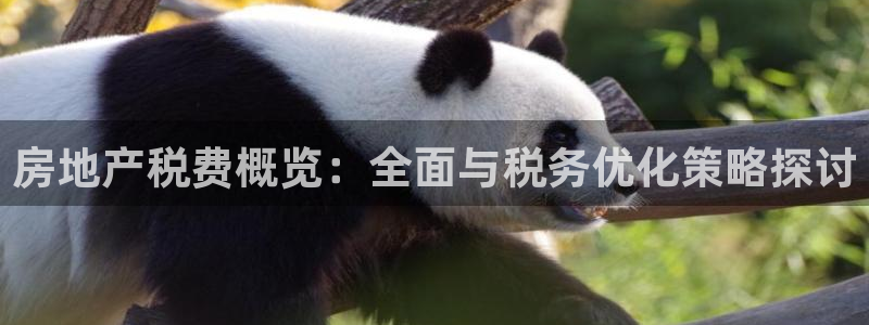 万向娱乐首页