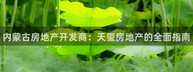 万向娱乐官网网址