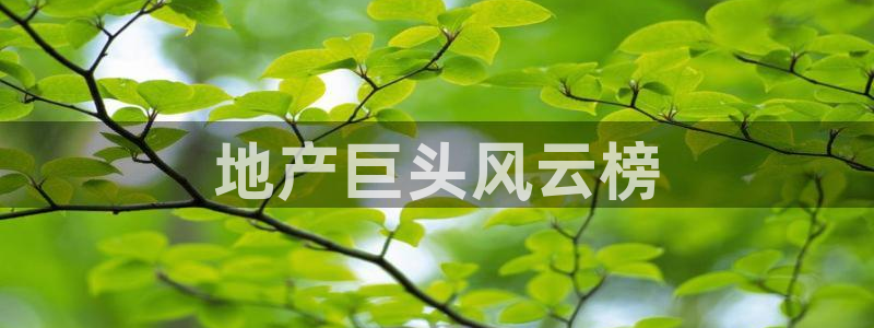 万向娱乐平台代理多少钱一个