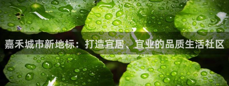 万向娱乐平台下载安装手机版
