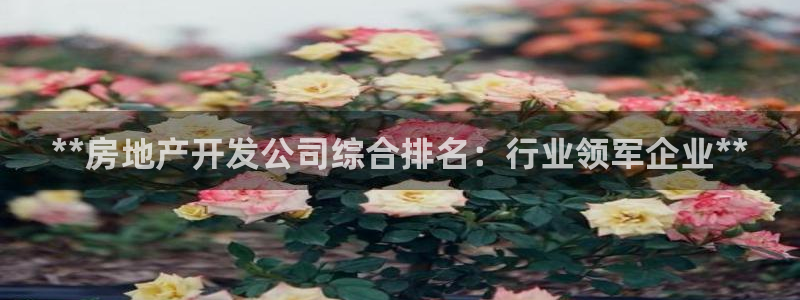 万向娱乐平台代理多少钱一个月