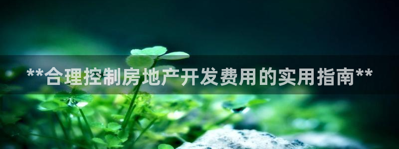 万向娱乐平台代理怎么做